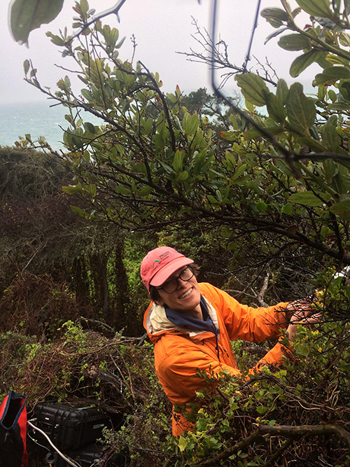 Professor Elliott Campbell is heading a new project looking at the links between climate change, redwoods, fog and people's sustainable behaviors.