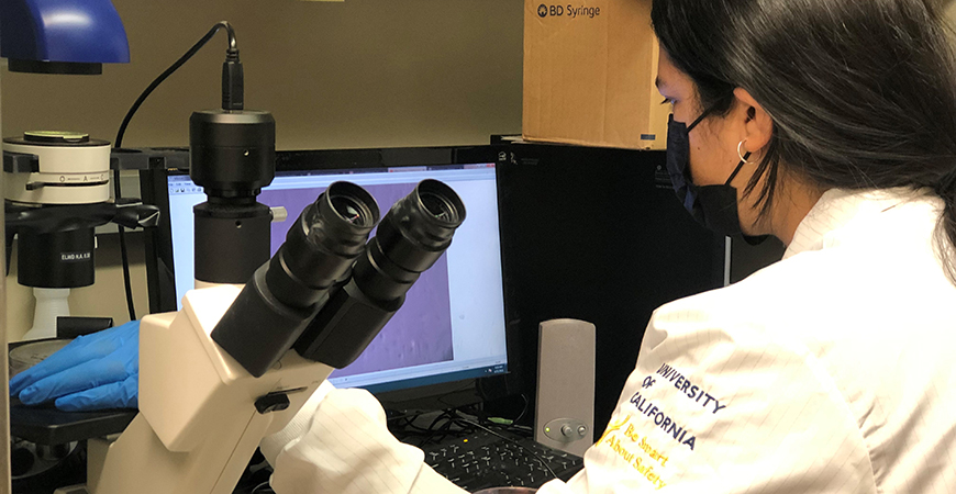 MBSE undergraduate student Jasmine Mercado student in the McCloskey lab