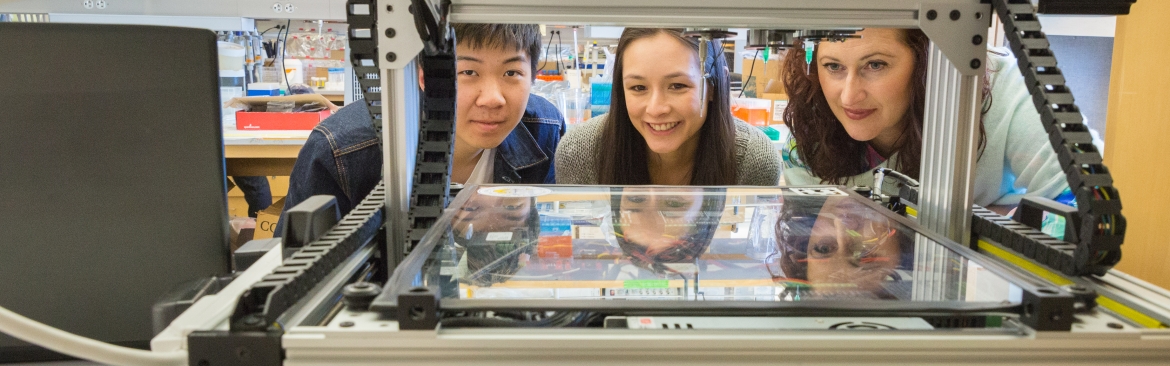 Professor Kara McCloskey and two Ph.D. candidates work on the lab's bioprinter. 